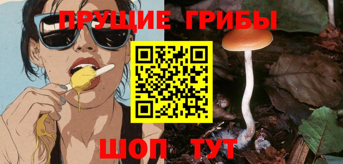 Галлюциногенные грибы Psilocybe  Вход с VPN  Саяногорск 